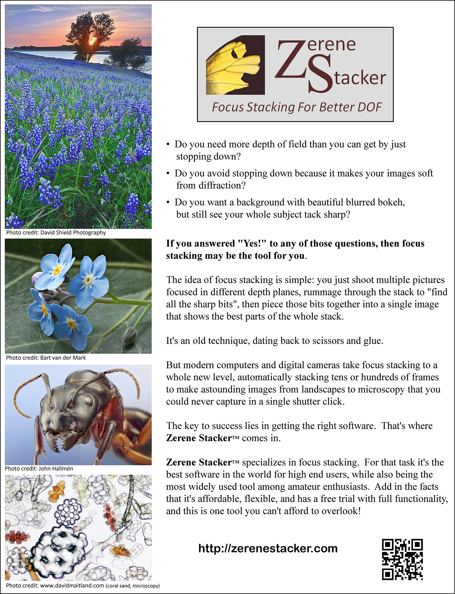 flyerpage1assmallimage_x4.jpg
