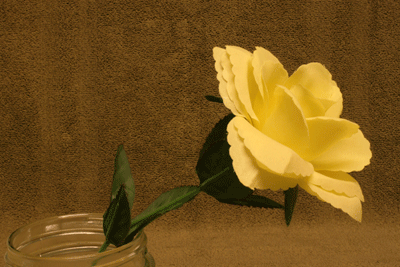 image013.gif