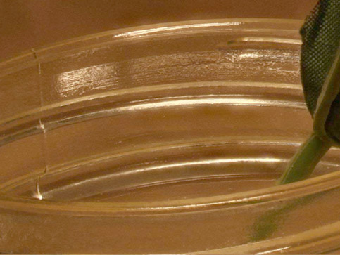 pmaxringcrop1.jpg